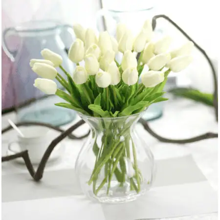 Beautiful Tulip flower