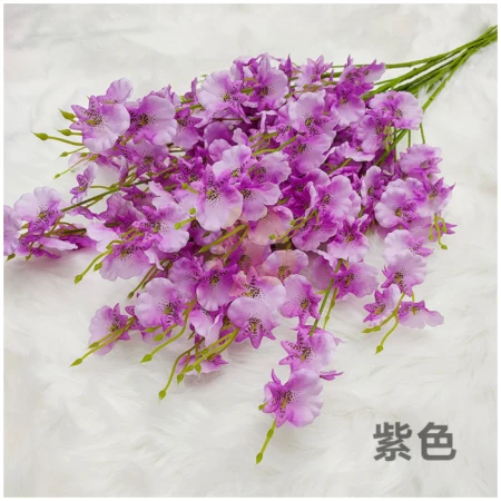 Exquisite Versatile Purple Flower