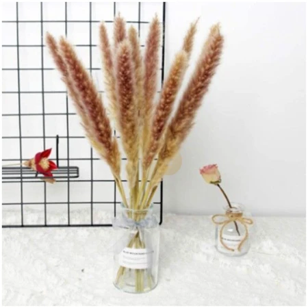 Autumn Glow Pampas – Rustic Dried Grass