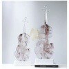 coffee smoke Crystal Virtuoso Big Violin