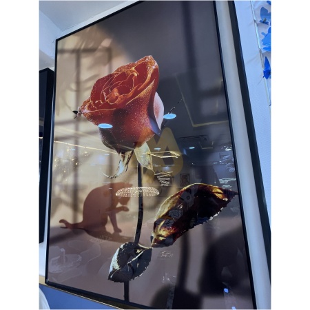 80×120cm Rose Design Acrylic Wall Frame