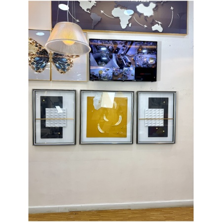 Golden Feather 3-in-1 Shadowbox Frame